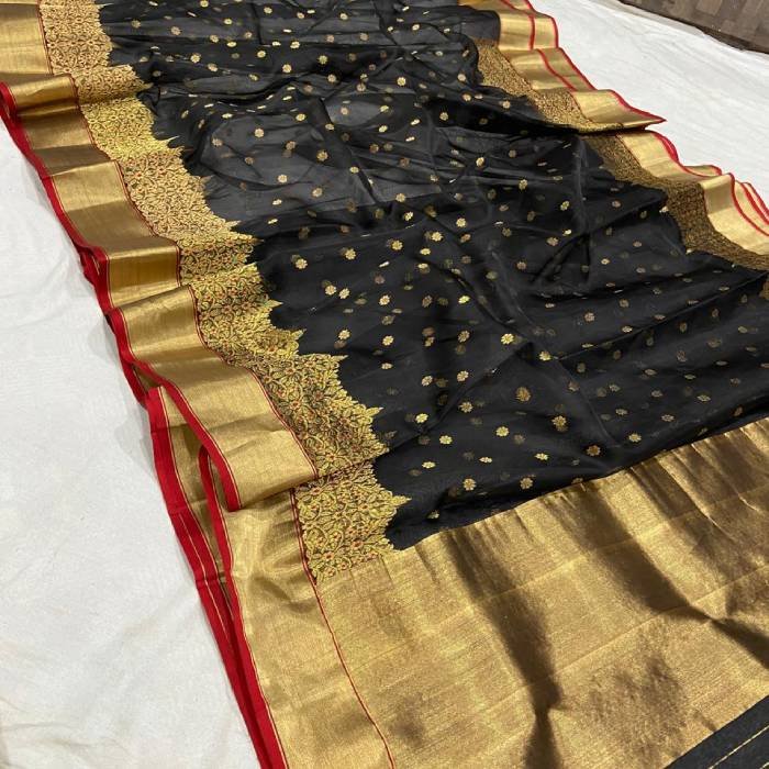 Chanderi Pure Katan Silk Organza Saree